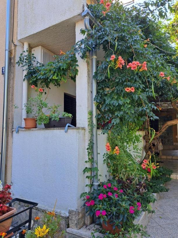 Accomodation Mirjana Rooms Poreč Eksteriør bilde